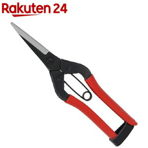 g K[f TbN SGP-45(1R)ygz