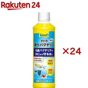 eg 키oNeA MK55(300ml×24Zbg)yTetra(eg)z