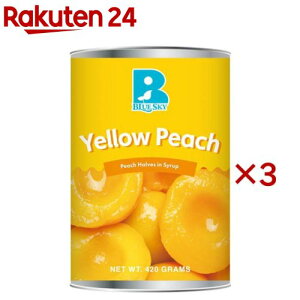 u[XJC CG[s[` n[t 4(420g×3Zbg)