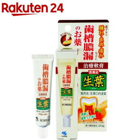 【第3類医薬品】小林製薬 生葉 口内塗薬(20g)【生葉】