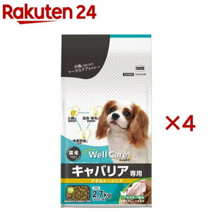 EFPA LoAp A_g`VjA(2.7kg×4Zbg)yEFPA(WellCare)z