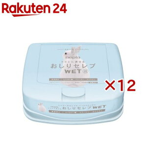 lsA Zu EFbg { (40×12Zbg)ylsA(nepia)z