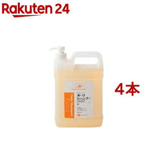 Lp I[cVv[ GNXg(4L*4{Zbg)