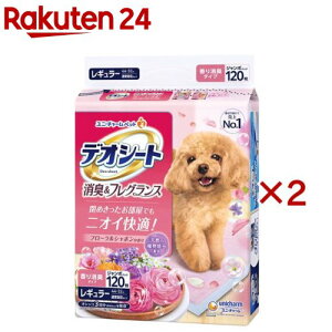 fIV[g LtOX t[V{̍ M[ p(120×2Zbg)yfIV[gz