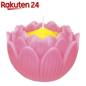 }GX 낤 @̉  24ԔR  sN(1)