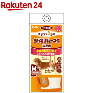 yeBI Ƃ Vp s⏕n[lX 㑫pK(MTCY*1R)yyeBI(Petio)z