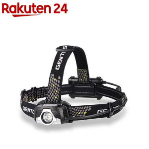 DF�x�[�V�b�N�w�b�h���C�g DRF-233D(1��)