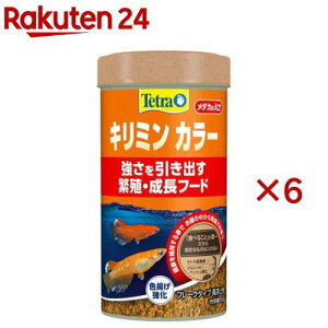 eg L~ J[(55g×6Zbg)yTetra(eg)z