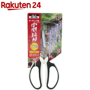 g K[fjO ^n SSP-16(1R)ygz