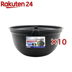 _JC _Ĵ߂̎甫 420(10Zbg)y_JCz