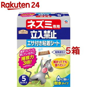 A[XK[f lY~p֎~ GTtSV[g(5Zbg*5Zbg)yA[XK[fz