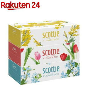 XRbeB eBbV t[{bNX(500(250g)×3pbN)yXRbeB(SCOTTIE)z