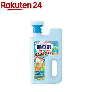 A[XK[f ݂Ȃɂ₳ ̑R WEwbh G΍(2L)yA[XK[fz[G  RP   ΍ t ԏ  ]