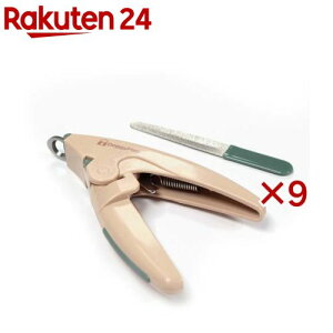 ybge ܐ؂聕XZbg(9Zbg)