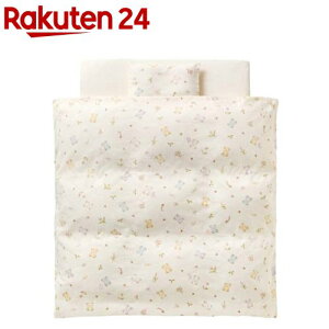  glp xr[HтӂƂg RpNgTCY BE(1Zbg)yRrz