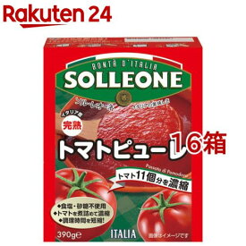 ソル・レオーネパッサータテトラ(390g×16箱セット)【ソル・レオーネ(SOLLEONE)】