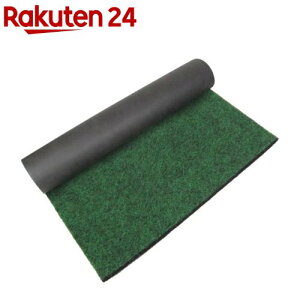 ZteB[3 ό hV[g  1m*10m(1)yZteB[3z