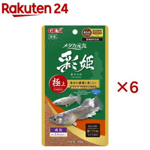 _JC ʕP ɏ(100g×6Zbg)
