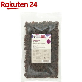 オーサワ 有機カリフォルニア レーズン(500g)【イチオシ】【org_1】【オーサワ】[ヴィーガン 干しぶどう ぶどう]