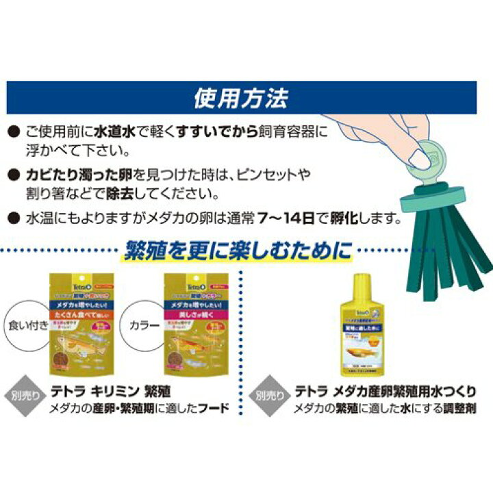 Sale Off 全国送料無料 テトラ メダカのゆりかご産卵床 4個パック 新商品 Shipsctc Org