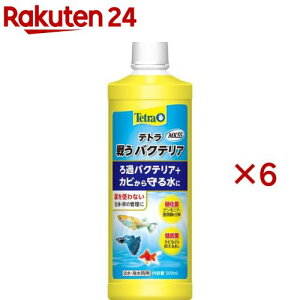 eg 키oNeA MK55(500ml×6Zbg)yTetra(eg)z