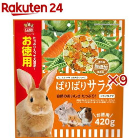 ぱりぱりサラダ(420g×9セット)【ミニマルランド】
