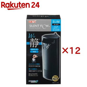 TCgt[ X ubNSP(12Zbg)