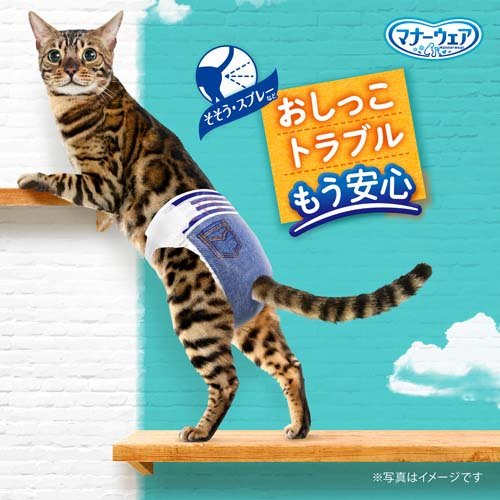 楽天市場】マナーウェア ねこ用 猫用おむつ Mサイズ(16枚入)【マナー 