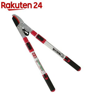 g Lk`Fbg} SGFL-10(1{)ygz