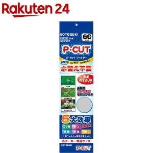 RguLH| PEJbg tB^[60(1)yRguLH|z