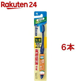 生葉 歯間に入るブラシ レギュラー ふつう(6本セット)【生葉】