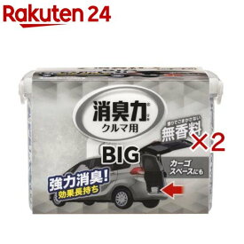 消臭力 クルマ用 置き型消臭剤 BIG 無香料(900g×2セット)【消臭力】