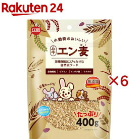 小動物のおいしいムキエン麦(400g×6セット)【ミニマルランド】