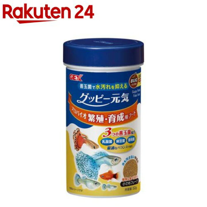 楽天市場 グッピー元気 プロバイオ繁殖 育成用フード 52g Gex ジェックス 楽天24 楽天市場 グッピー元気 プロバイオ繁殖 育成用フード 52g Gex ジェックス 楽天24