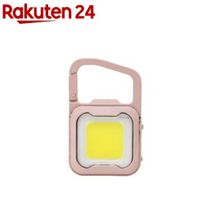 TV ҂ MINI LIGHT _XeBsN WRC-21DP(1)
