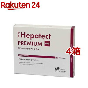 PE wpeNgv~A(60*4Zbg)