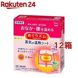めぐりズム 蒸気の温熱シート 下着の内側面に貼るタイプ(5枚入*12箱セット)【めぐりズム】