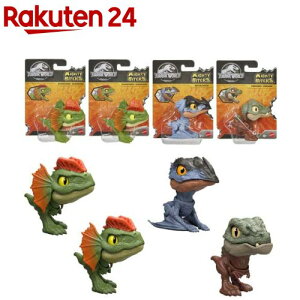 WVbN[h ݂݋RNVD-Ast BOX̔ 986D-JDC39(1Zbg(4))yWVbNE[h(JURASSIC WORLD) z[WVbN    4 tBMA]