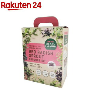 ICt Ԃ卪 ͔|Lbg 2(1Zbg)