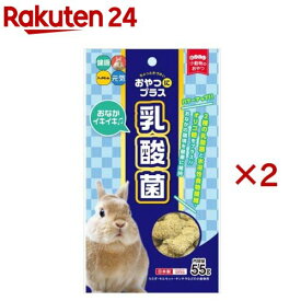おやつにプラス 乳酸菌 小動物用おやつ(55g×2セット)