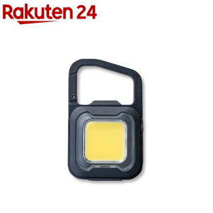 TV ҂ MINI LIGHT }bgubN WRC-23BK(1)