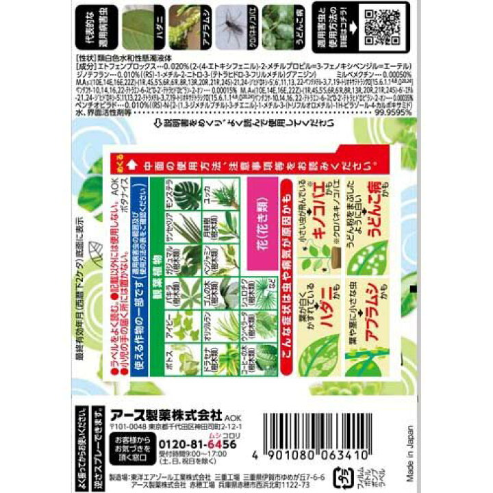 パキラの葉が白くなる予防策