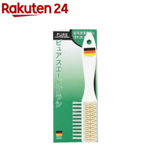 sA XG[huV(1{)yCICN[{܁z