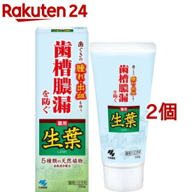 薬用歯みがき 生葉(100g*2コセット)【生葉】[歯槽膿漏を防ぐ 和漢ハーブの香味 薬用ハミガキ]