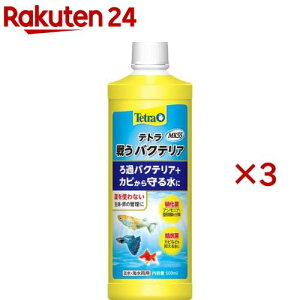 eg 키oNeA MK55(500ml×3Zbg)yTetra(eg)z