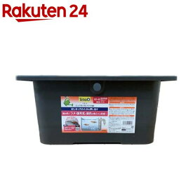 テトラ じょうろでキレイメダカ鉢 40×40 色光育成グレー(1個)【テトラ】