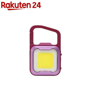 TV ҂ MINI LIGHT [Y^sN WRC-26RP(1)