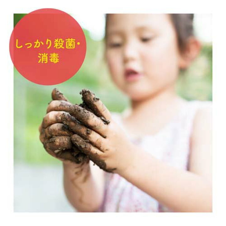 NEW ARRIVAL ミューズ ノータッチ ハンドソープ 詰め替え 泡 自動 12個セット 全5種の香り 殺菌 消毒 除菌 手洗い edilcoscale.it NEW ARRIVAL ミューズ ノータッチ ハンドソープ 詰め替え 泡 自動 12個セット 全5種の香り 殺菌 消毒 除菌 手洗い edilcoscale.it