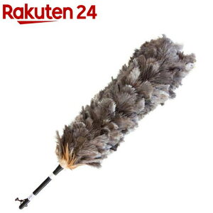 т΂ I[Xgb` S120.5cm(1{)yGXL[z