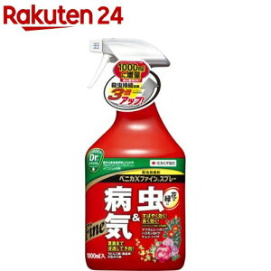 xjJXt@C Xv[(1L)yxjJz